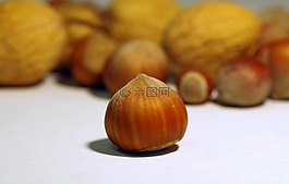 核桃,意大利語(yǔ),甘蔗