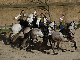 車手,馬匹,騎馬