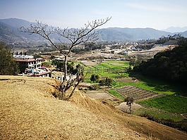 晚間,一天,地面
