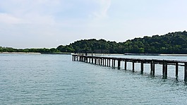釣魚,甲板,平臺