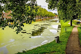 運河,河,泡沫