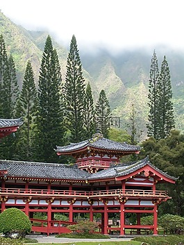 寺,夏威夷,樹