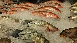 魚,新鮮,食品