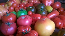 蕃茄,蔬菜,食品