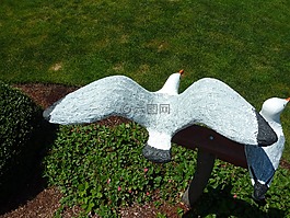 海鷗,庭院裝飾品,鳥(niǎo)