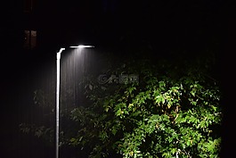 雨,灯笼,树