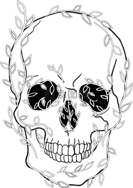 頭骨,葉,巖