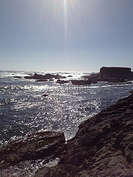 海灘,岸,海岸