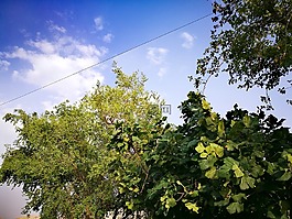 自然,tigan,伊朗
