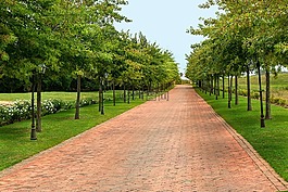 路,方向,路徑