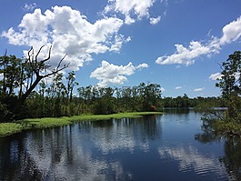 湖,藍色的天空,天空
