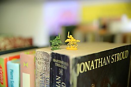 書籍,斗爭,庫
