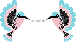 蜂鳥,小鳥,鳥