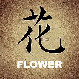 中文,字符,背景