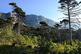 simeiz,克里米亞,海