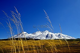 祁連,雪山,牛心山