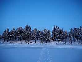 冬天,冰,雪