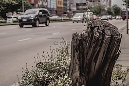 街,街頭,路徑。