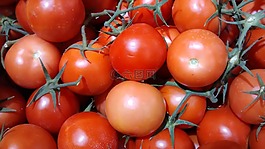西紅柿,水果,紅色
