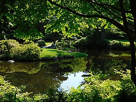 植物園,花園,瀉湖