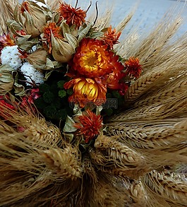 感恩節(jié),南瓜,蔬菜