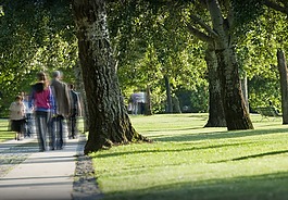 公園,人,徒步旅行