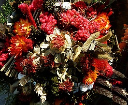 herbststrauss,干花,感恩節(jié)