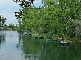 水,湖,休息
