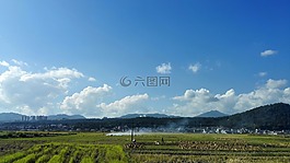 田野,鄉村,藍天
