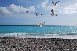 法國,藍色的海,地中海