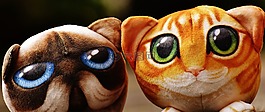 貓,動物玩具,可愛