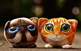 貓,動物玩具,可愛