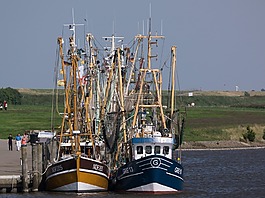 greetsiel,端口,海岸