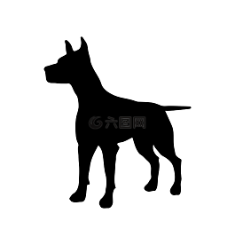 狗,動(dòng)物,側(cè)影