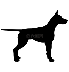 狗,動(dòng)物,側(cè)影