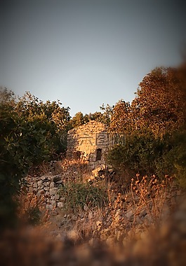 ramtaniya,戈兰高地,以色列