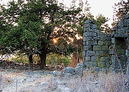 ramtaniya,戈兰高地,以色列