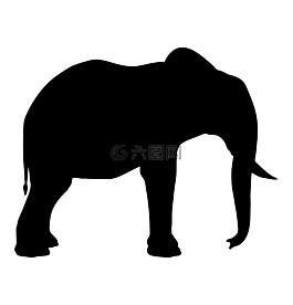 側(cè)影,象,動(dòng)物