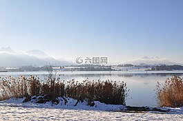 阿爾高,湖,冬天