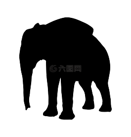 側(cè)影,象,動(dòng)物