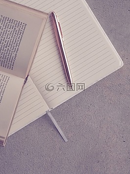 頁面,書綁定的,紙