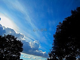 藍(lán)天,樹,日落