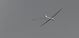 飛機(jī),滑翔機(jī)飛行員,飛行