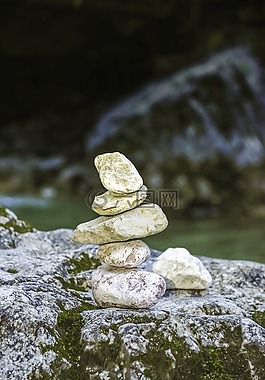 水,注入,森林