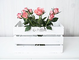 鮮花,玫瑰,箱