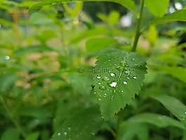 摘要,水上,背景