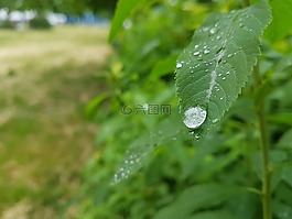 摘要,水上,背景