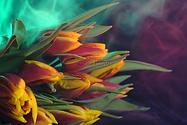郁金香,郁金香花束,鮮花