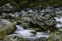 水,注入,森林