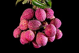荔枝,水果,熱帶